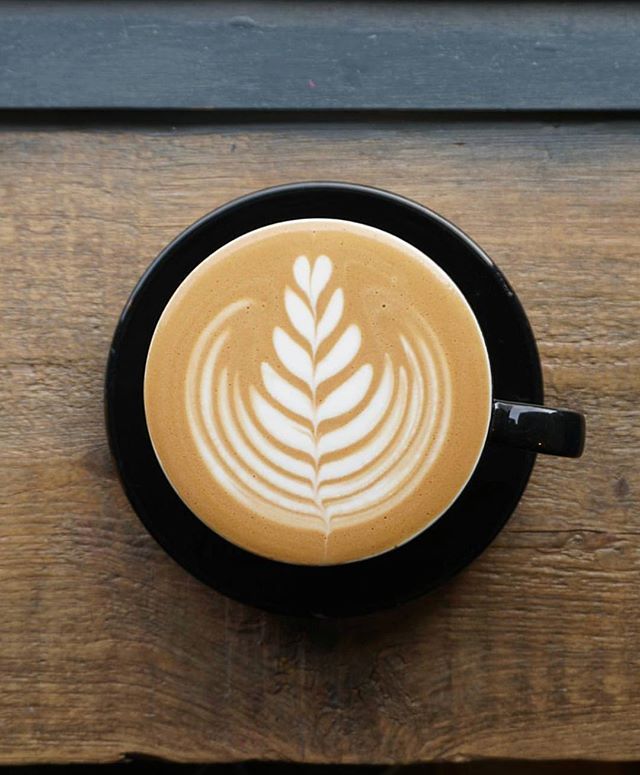 ☕ รีวิวร้านกาแฟในกรุงเทพ